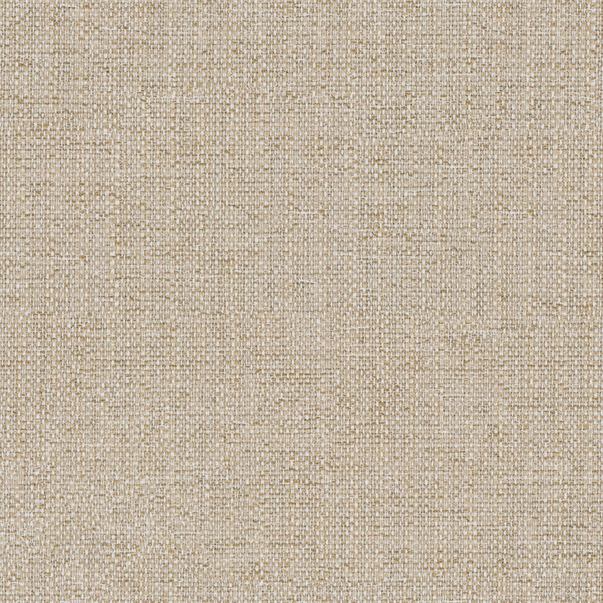 Conran Wheat
