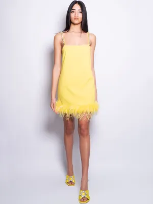 Short Dress with Feathers and Yellow Stones