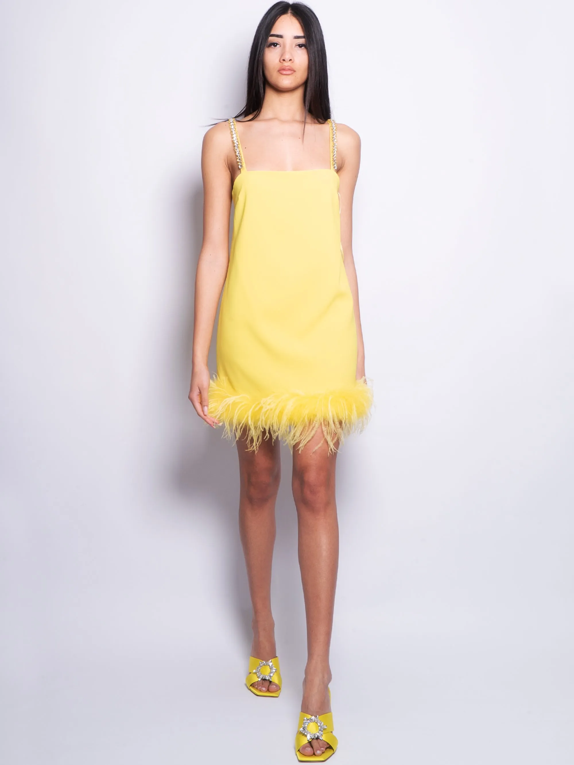 Short Dress with Feathers and Yellow Stones