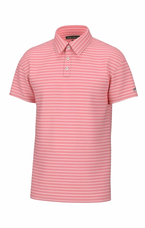 Southern Point Horizon Stripe Polo